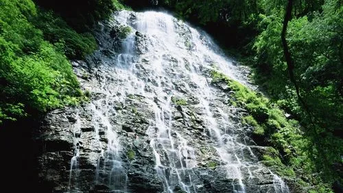 高端高端绿色